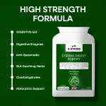 STRONG DIGEST FORTIFY high strength digestive enzyme formula with gut-soothing herbs and absorption support