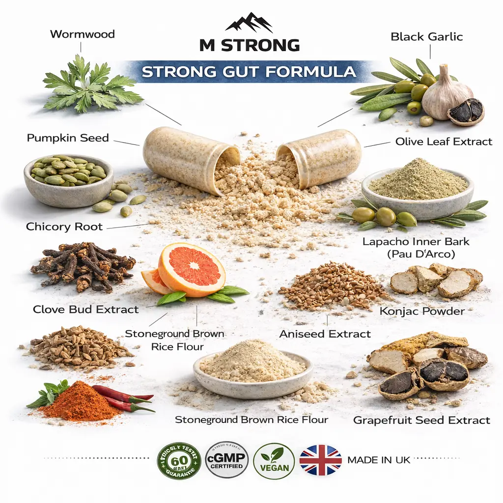 Strong Gut Formula ingredient infographic with herbs, extracts and trust badges on white background
