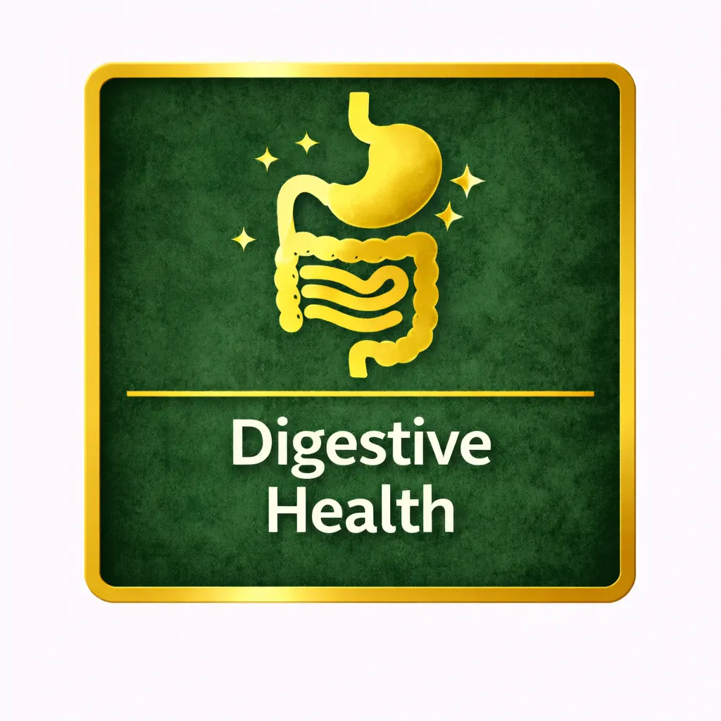 Digestive health supplements category supporting gut health and healthy digestion
